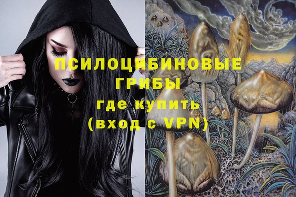 прущая мука Алексин